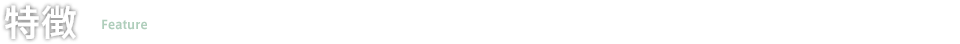 特徴
